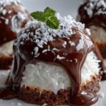 Coconut Dome with Chocolate