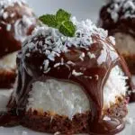 Coconut Dome with Chocolate