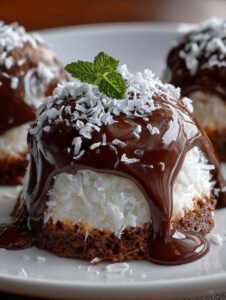 Coconut Dome with Chocolate