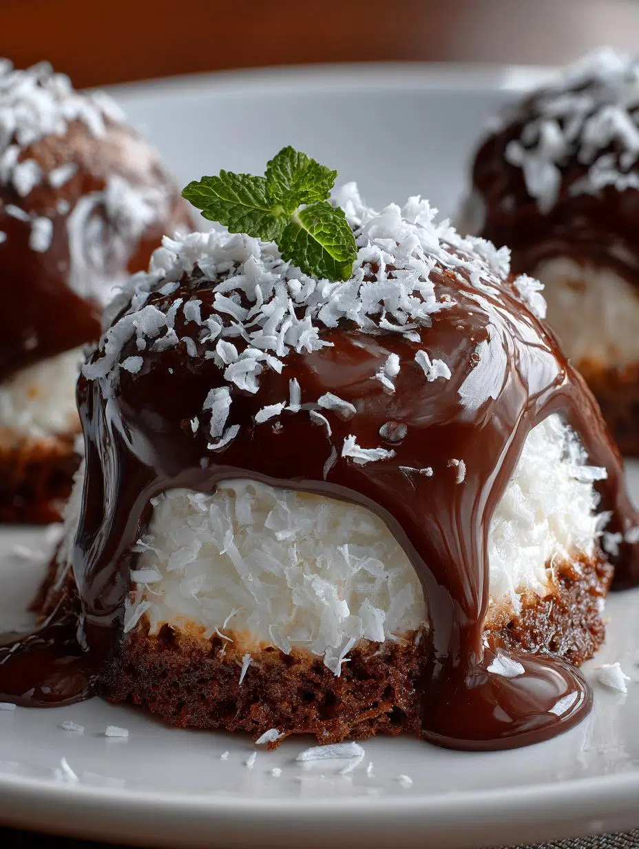Coconut Dome with Chocolate