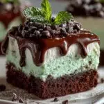 Mint Chocolate Chip Ice