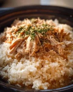 Slow Cooker Chicken and Rice 3 Slow Cooker Chicken And Rice 2026 02 18 211930