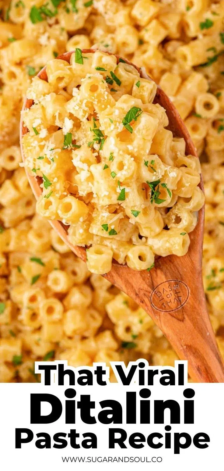 Viral Ditalini Pasta